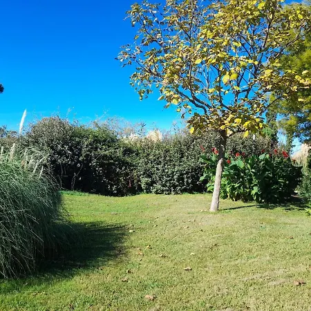 T3 Cozy Au Bord De La Londe-les-Maures